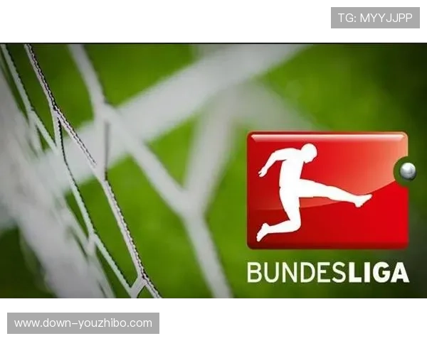 德甲VAR培训:标准统一进程 德甲VAR培训:标准统一进程